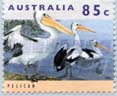 Pelican stamp